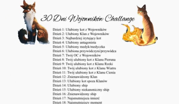 30 dni wojowników challenge|dzień 1