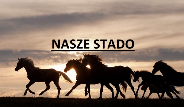 Nasze stado rozdział 3