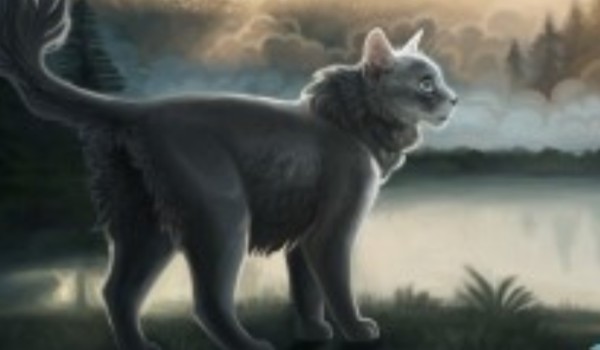 Oceniam filmy – Braveheart