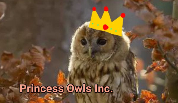 Princess Owls Inc.