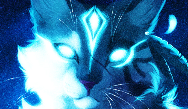 Osada Mokrych Łap | Rozdział 1