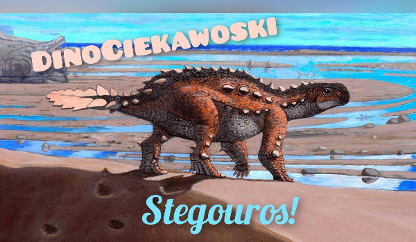 DinoCiekawoski – Stegouros!