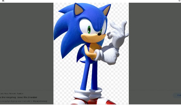 Poznaj przyjaciół sonica