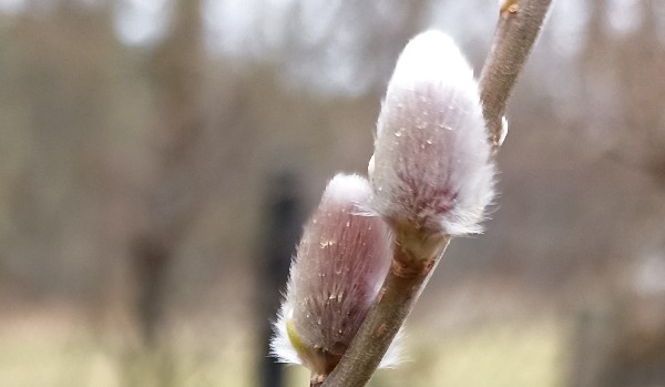 Oceniam profil @SWEETUNICORN03._. !