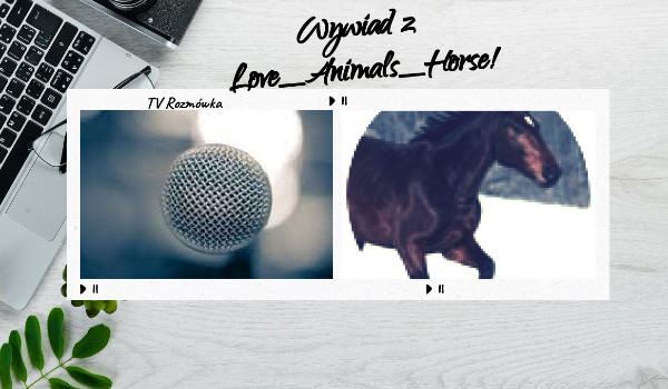 TV Rozmówki – wywiad z Love_Animals_Horse