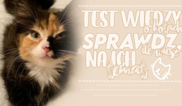 Test wiedzy o kotach- Sprawdź, ile wiesz na ich temat.