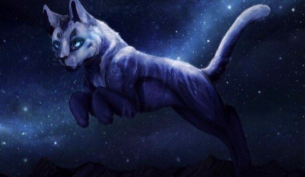 przetrwanie-wojownicy!