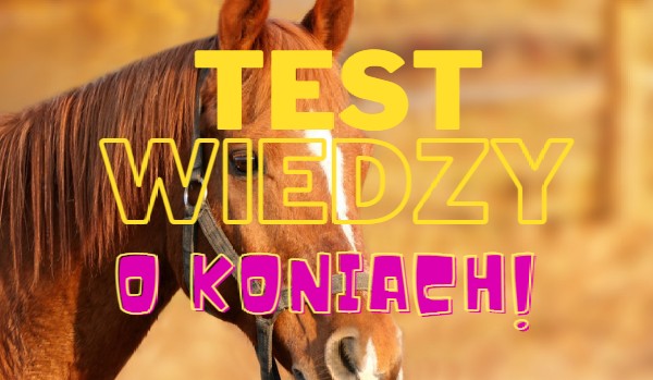 Test wiedzy o koniach!
