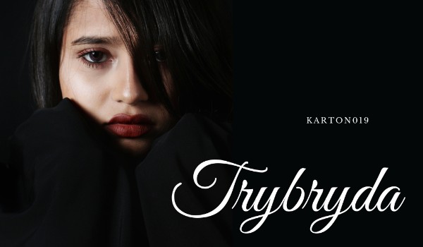 Trybryda