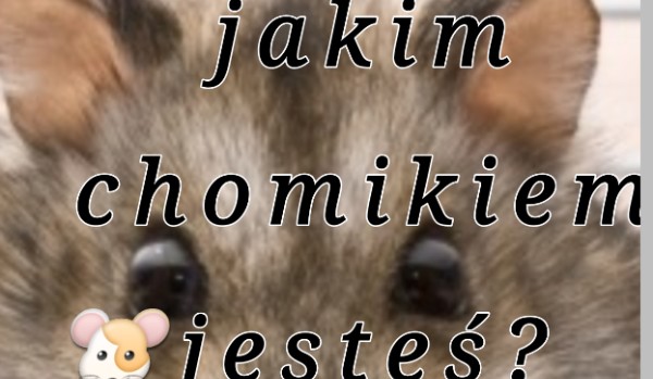 Jakim chomikiem jesteś?
