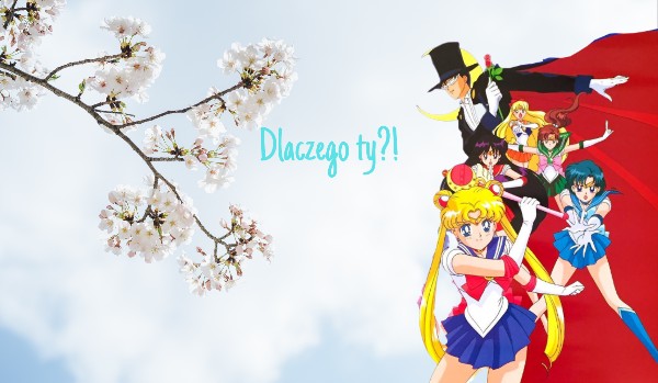 Opo z obs • Dlaczego ty?! Sailor Moon • Zapisy!