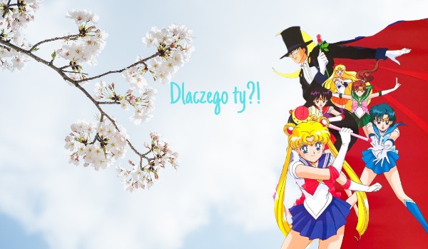 Opo z obs • Dlaczego ty?! Sailor Moon • przedstawienie postaci