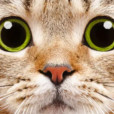 mogus_gaming_2244