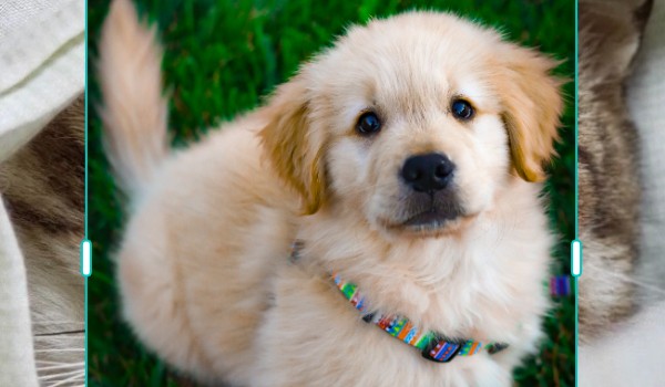 Talksy #1 |Przygoda z pizzą