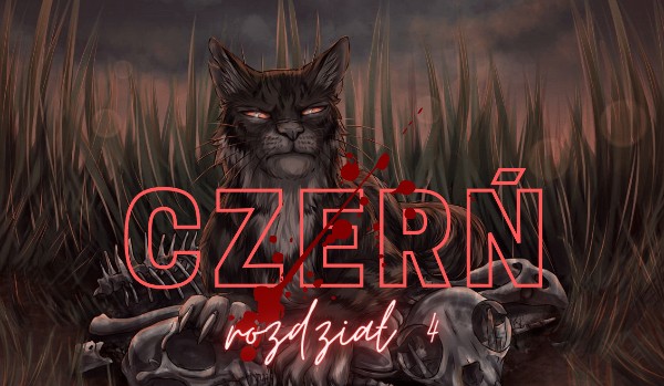Czerń •rozdział 4•