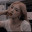 ._Yeji_.