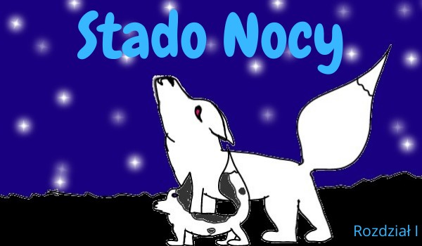 Stado Nocy #9, rozdział 1