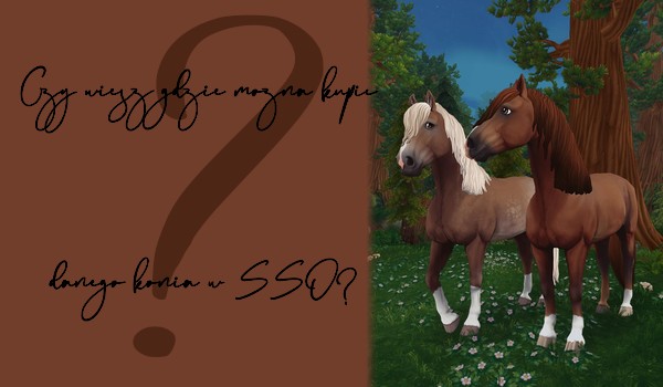 Czy wiesz gdzie można kupić danego konia w SSO?