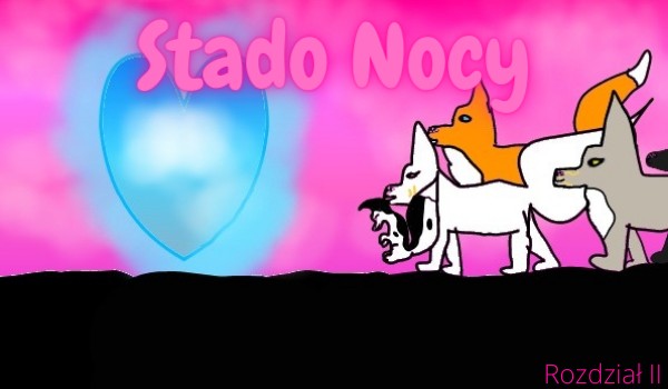 Stado Nocy #14, rozdział 2