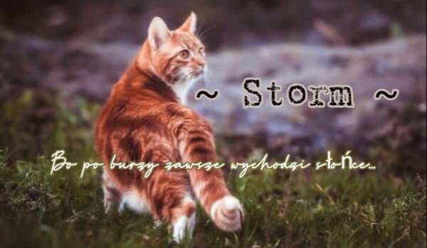 ~Storm~ [ Part One ]