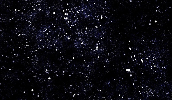 Jakim weedbangerem jesteś