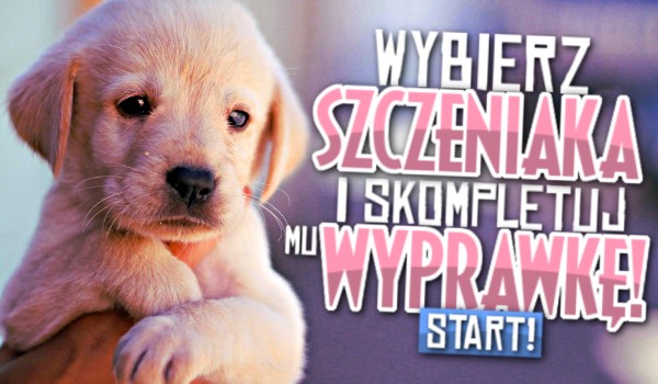 Kreator – wybierz szczeniaka i skompletuj mu wyprawkę!