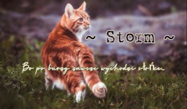 ~Storm~ [Part Two]