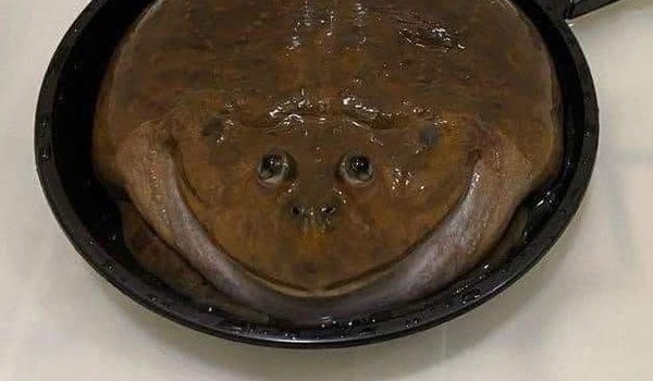 czy nalezys do naszego tim??