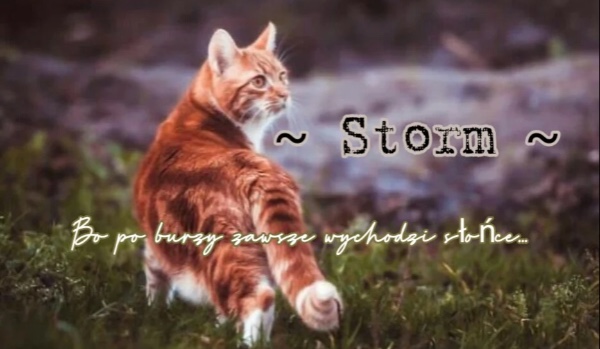 ~Storm~ [Spis Klanów]
