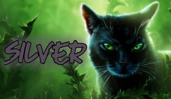 Silver – rozdział trzeci