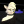 Wilczy_