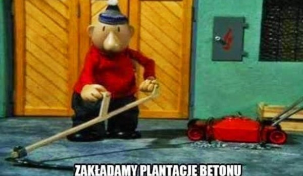 Ocenianie profili~ -Mei-