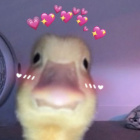 Julian.Kun