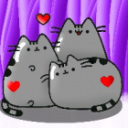 Kitty_Pysia2234