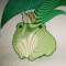 Frogi