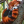 Pandaarudq