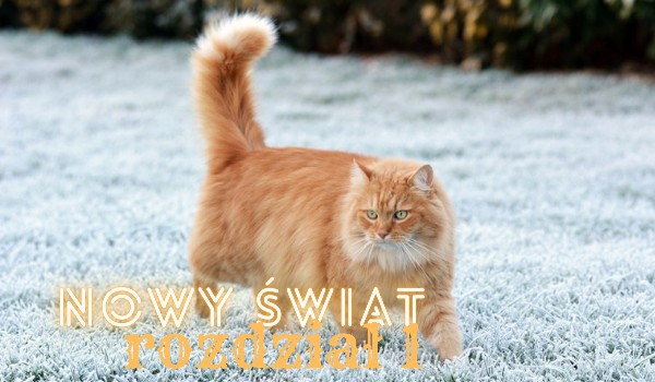 Nowy świat •rozdział 1•