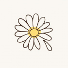 Daisies