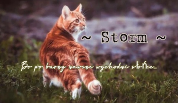 ~Storm~ [Part Three]