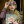 Luna_lovegood_quizy