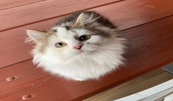 Jak dobrze znasz Martynę