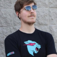 mrbeastreal