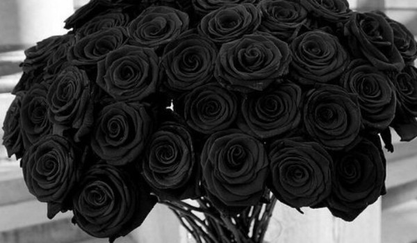 czarne róże | tomik poezji