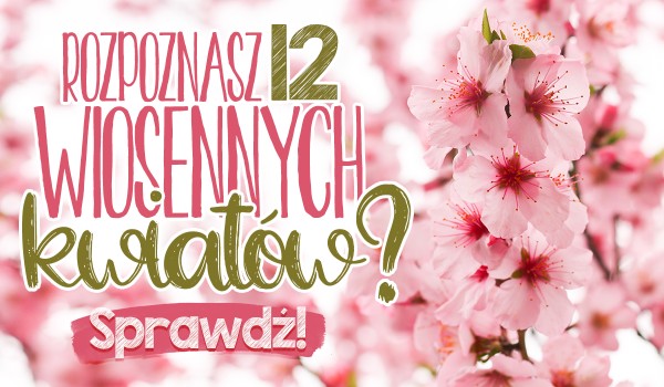 Czy rozpoznasz 12 wiosennych kwiatów?