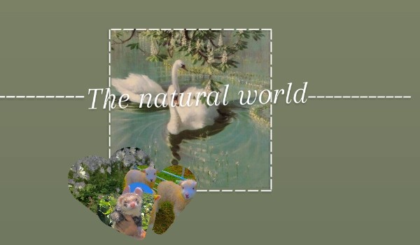 The natural world