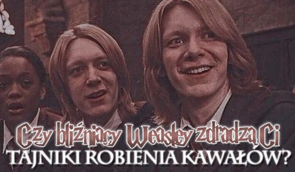 Czy bliźniacy Weasley zdradzą Ci tajniki robienia kawałów?