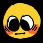 Idiot_OwO