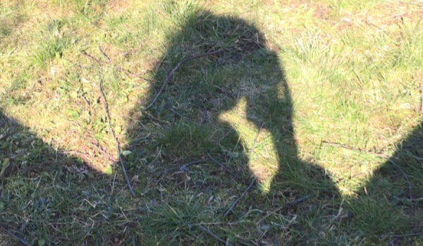 Zagadki dla fanów Julii