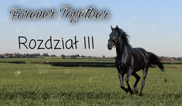 Forever Together — ROZDZIAŁ III