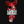 MLIVI-FOXY